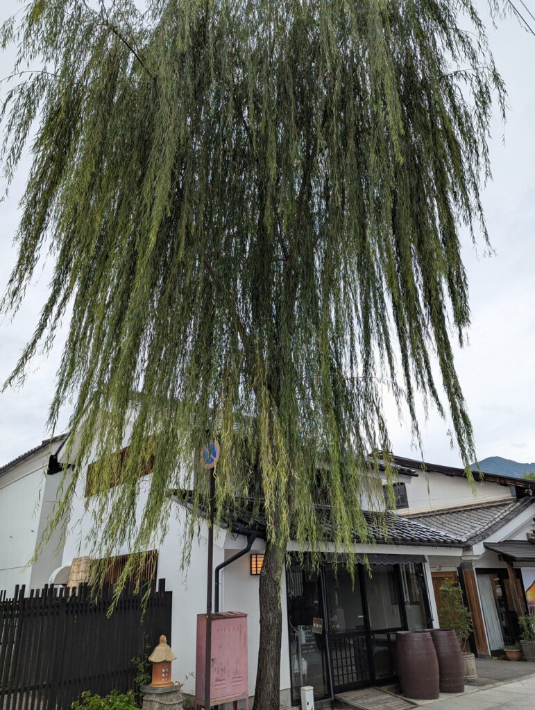 北国街道上田宿 柳町通り