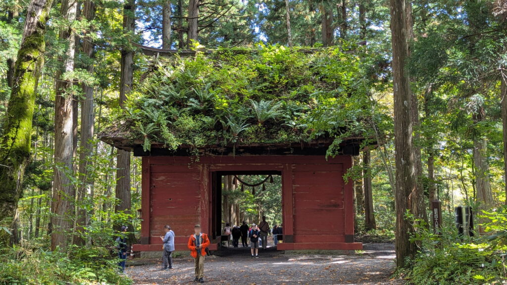 戸隠神社 随神門