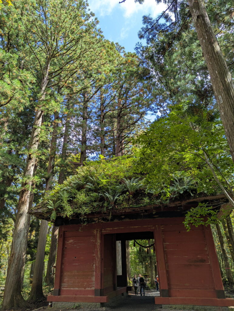 戸隠神社 随神門