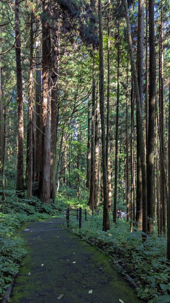 戸隠神社 宝光社 女坂