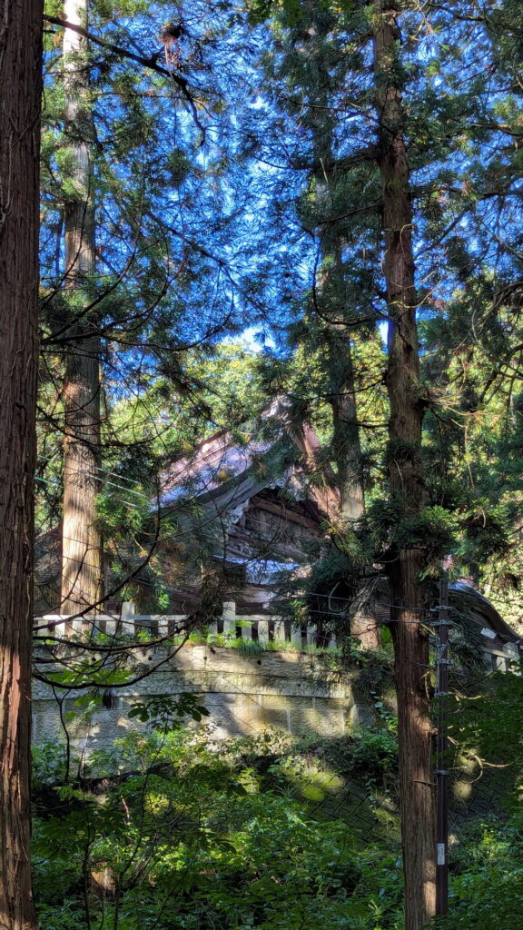 戸隠神社 宝光社 女坂