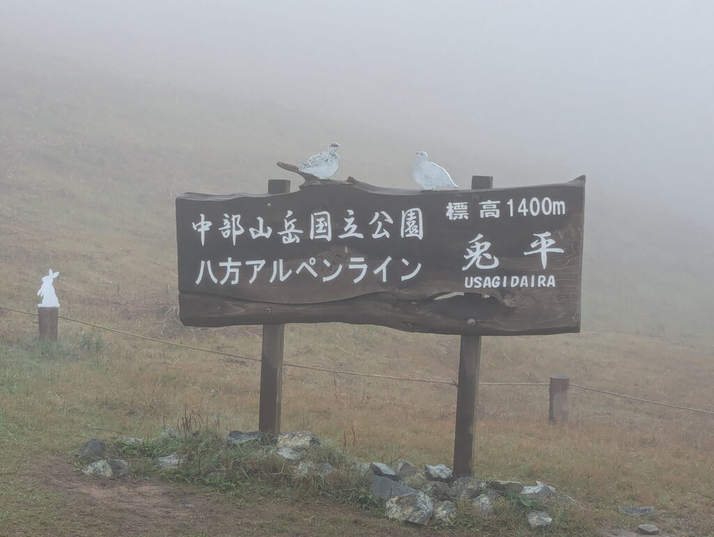 八方アルペンライン