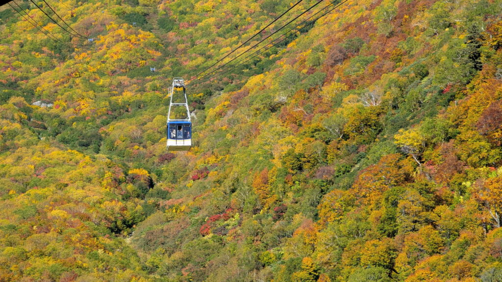 黒部平パノラマテラス