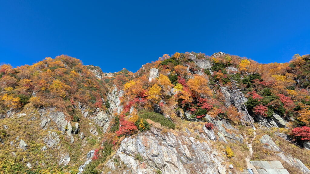 大観峰雲上テラス