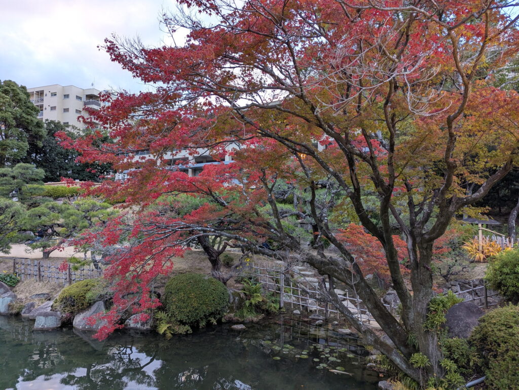 相楽園の紅葉