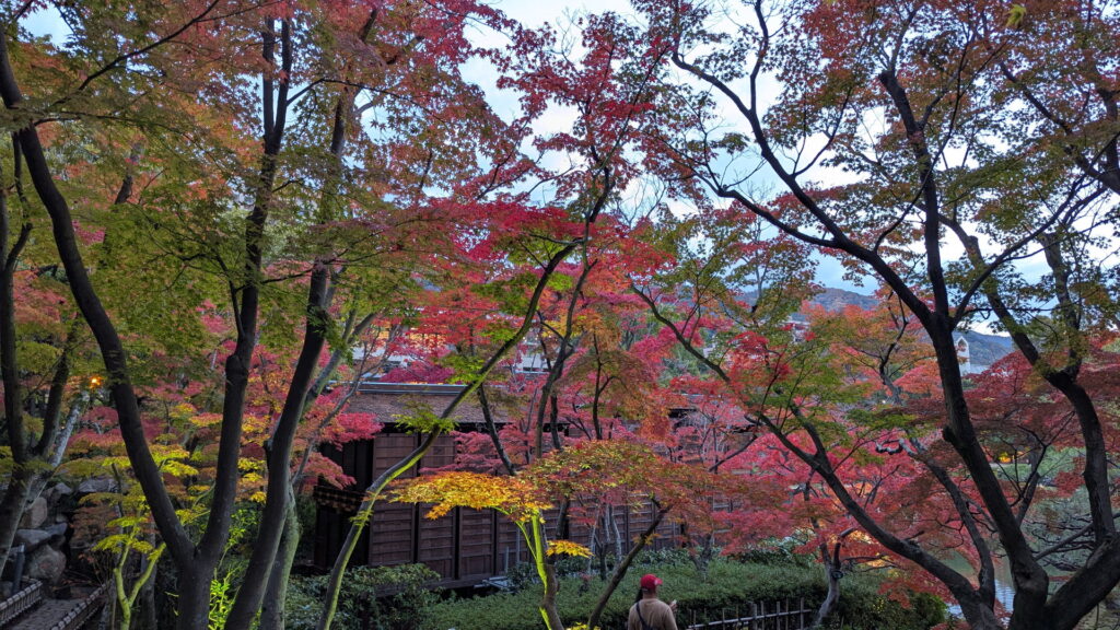 相楽園の紅葉