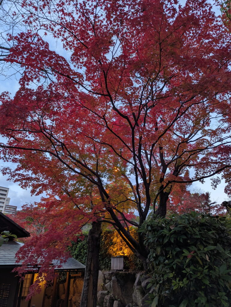 相楽園の紅葉
