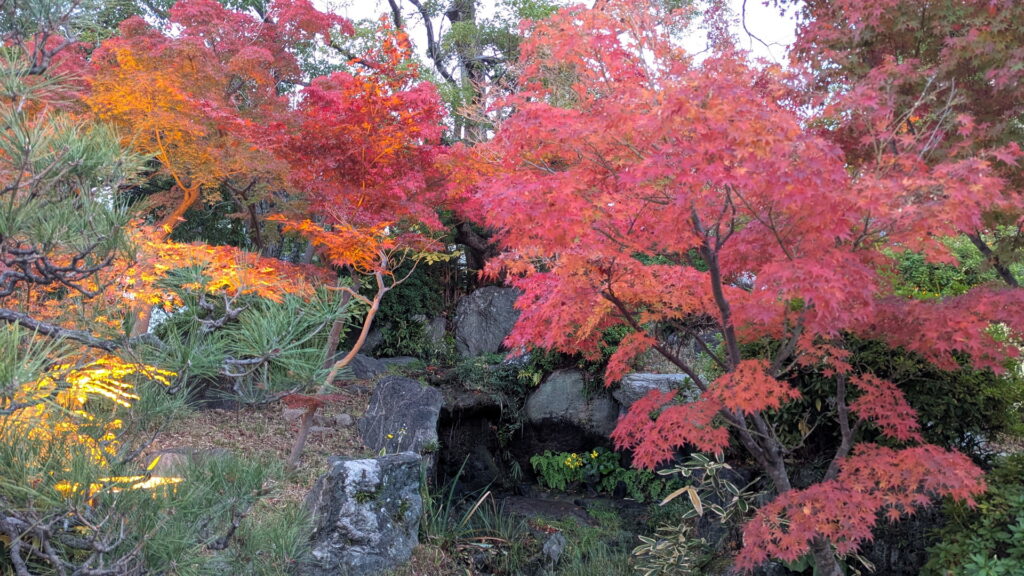 相楽園の紅葉