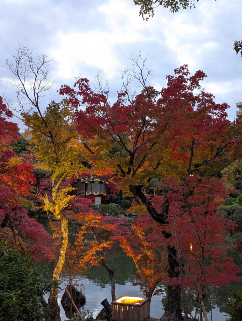 相楽園の紅葉