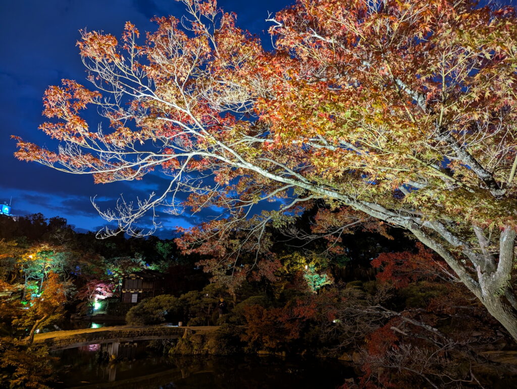 紅葉ライトアップ＠相楽園