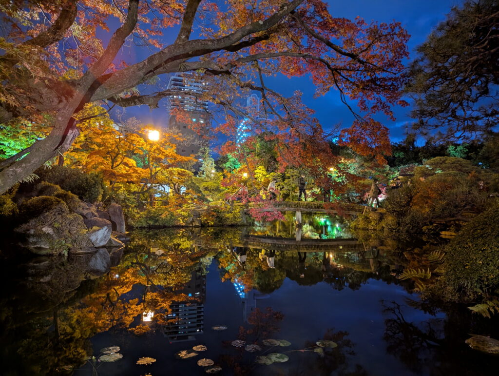 紅葉ライトアップ＠相楽園