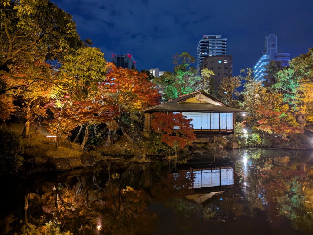 紅葉ライトアップ＠相楽園