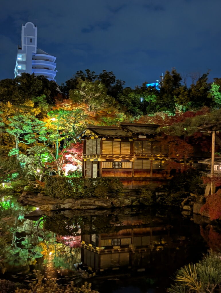 紅葉ライトアップ＠相楽園