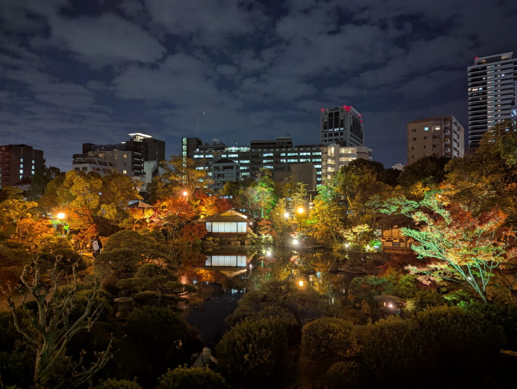 紅葉ライトアップ＠相楽園