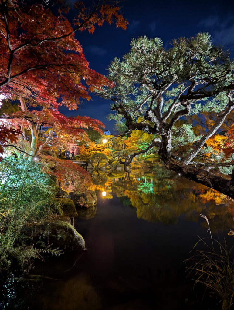 紅葉ライトアップ＠相楽園