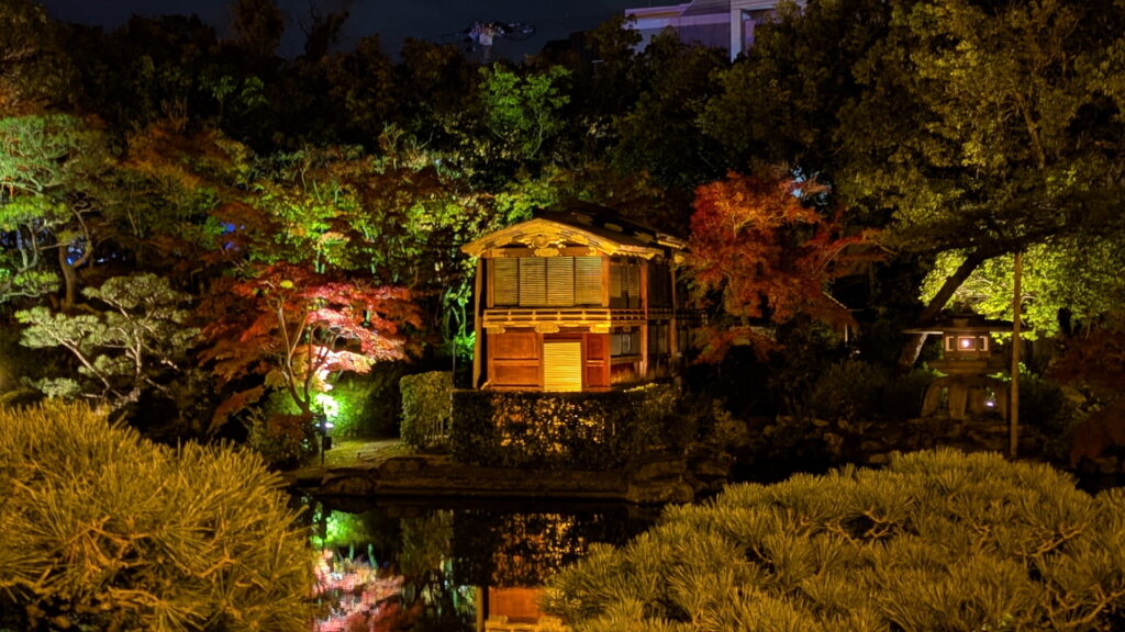 紅葉ライトアップ＠相楽園