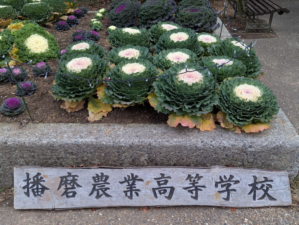 兵庫県立フラワーセンター