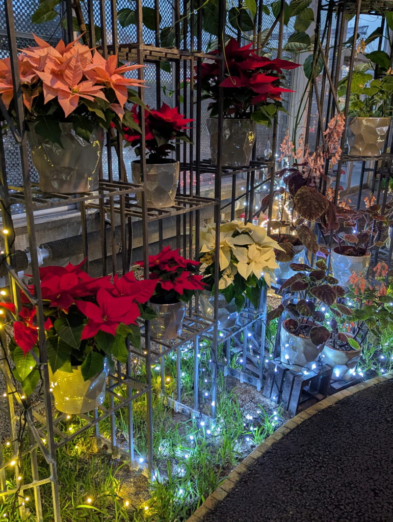 フラワーセンター・大温室