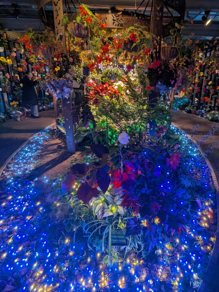 フラワーセンター・大温室