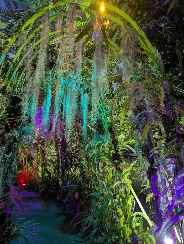 フラワーセンター・大温室