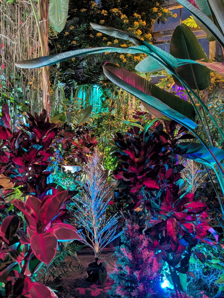 フラワーセンター・大温室