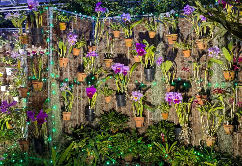 フラワーセンター・大温室