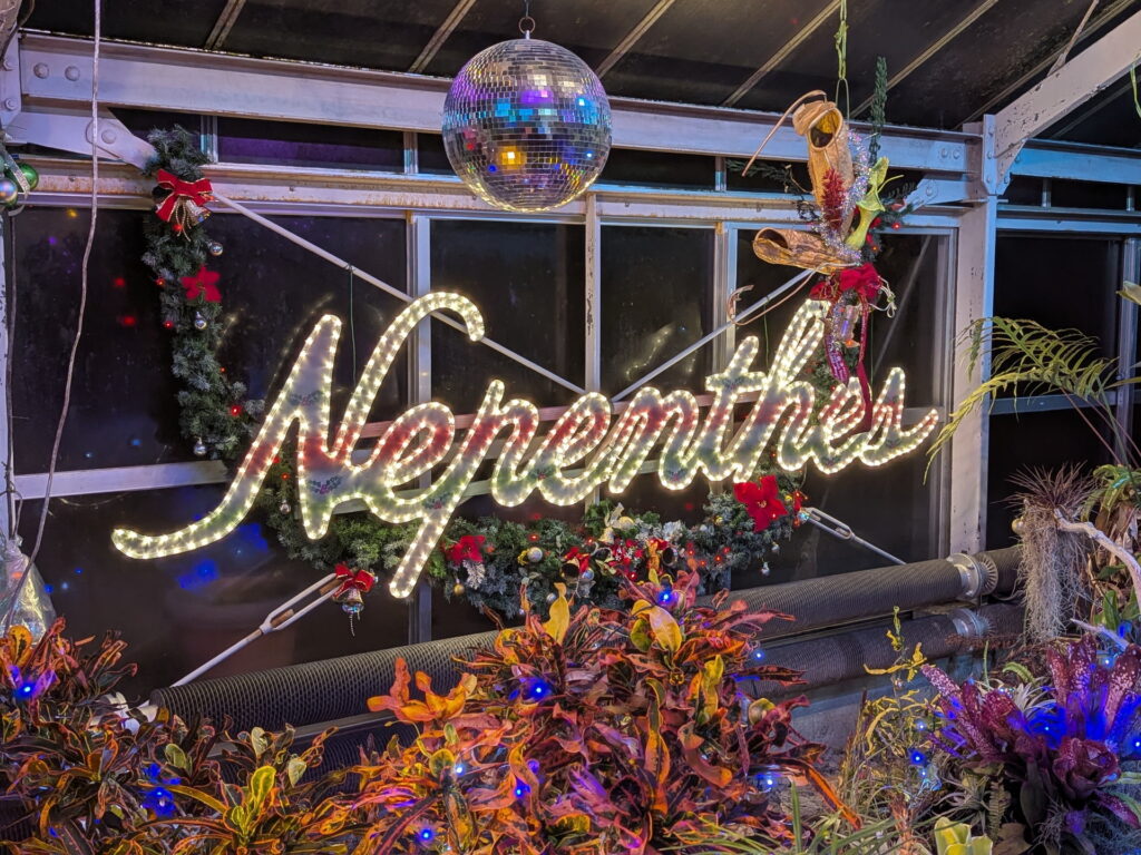 フラワーセンター・大温室