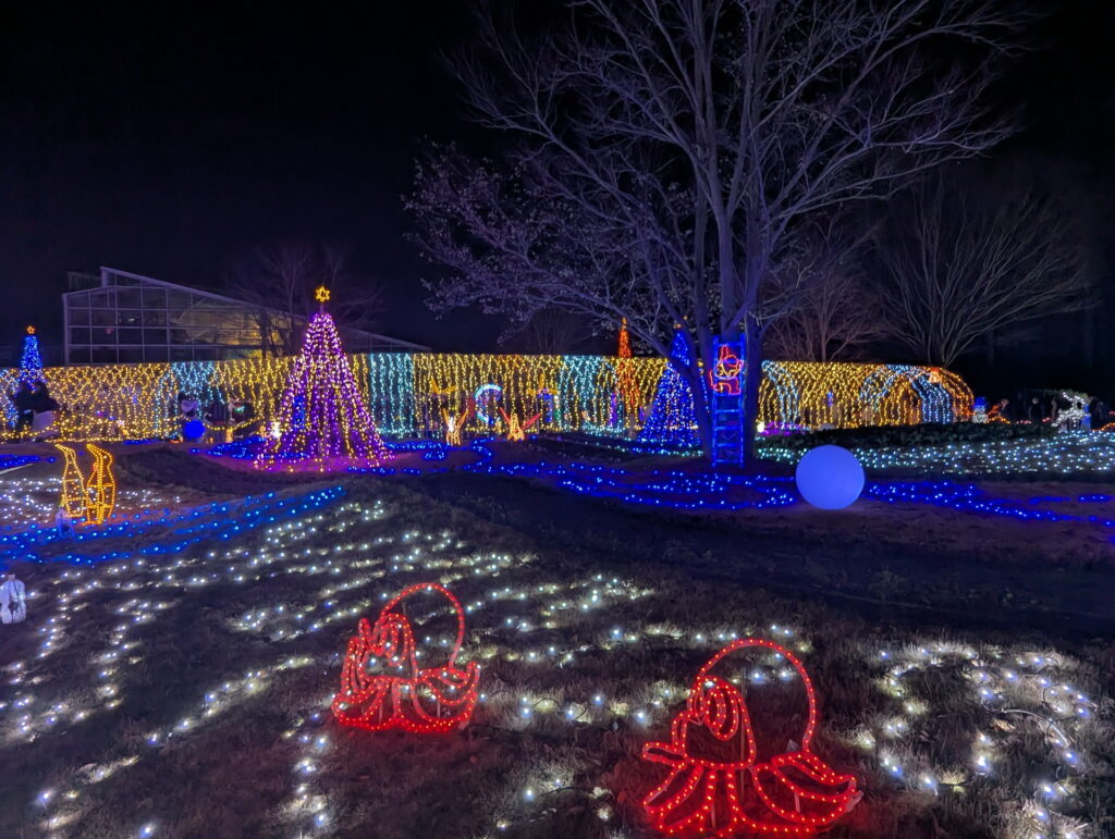 フラワーセンター