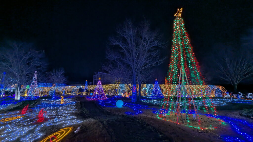 フラワーセンター