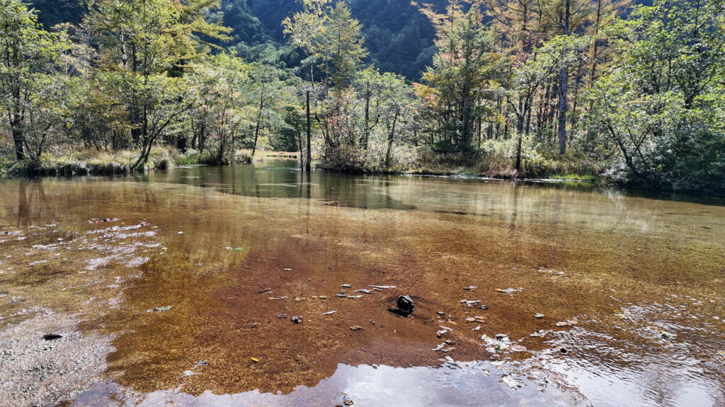 上高地・田代池