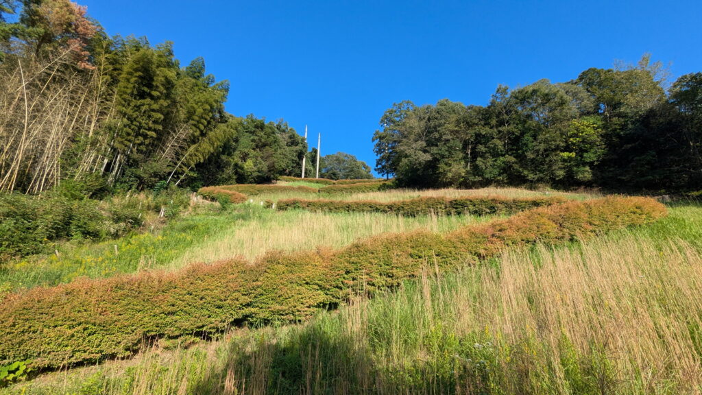 兵庫県41市町 カントリーサインの旅 西脇市 日本へそ公園
