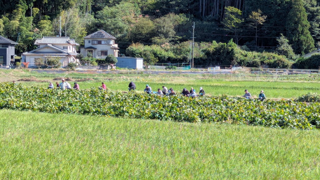 兵庫県41市町 カントリーサインの旅 丹波篠山市 恵農園
