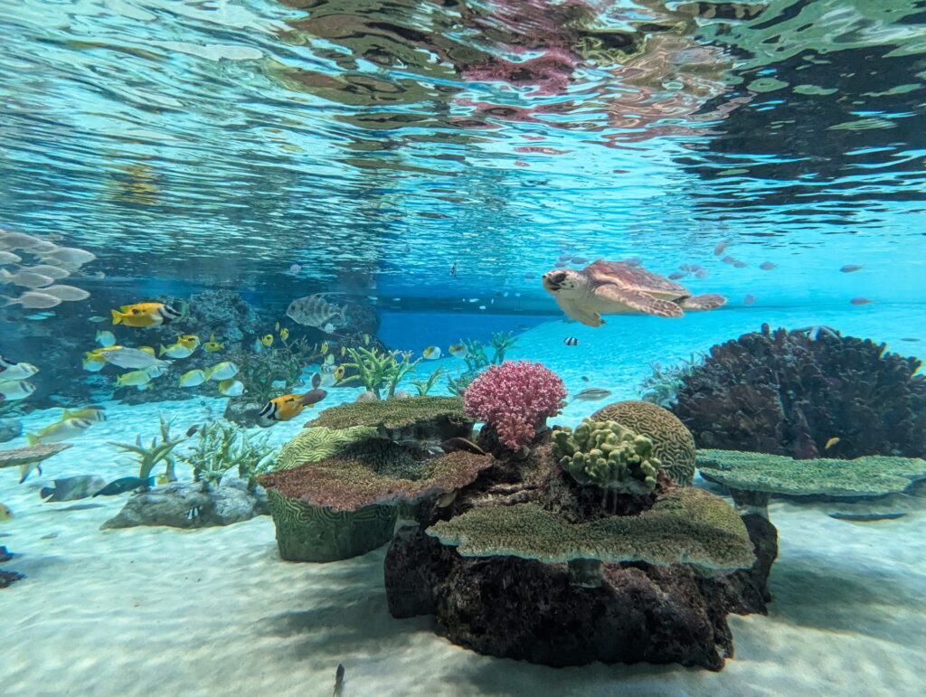 神戸須磨シーワールド