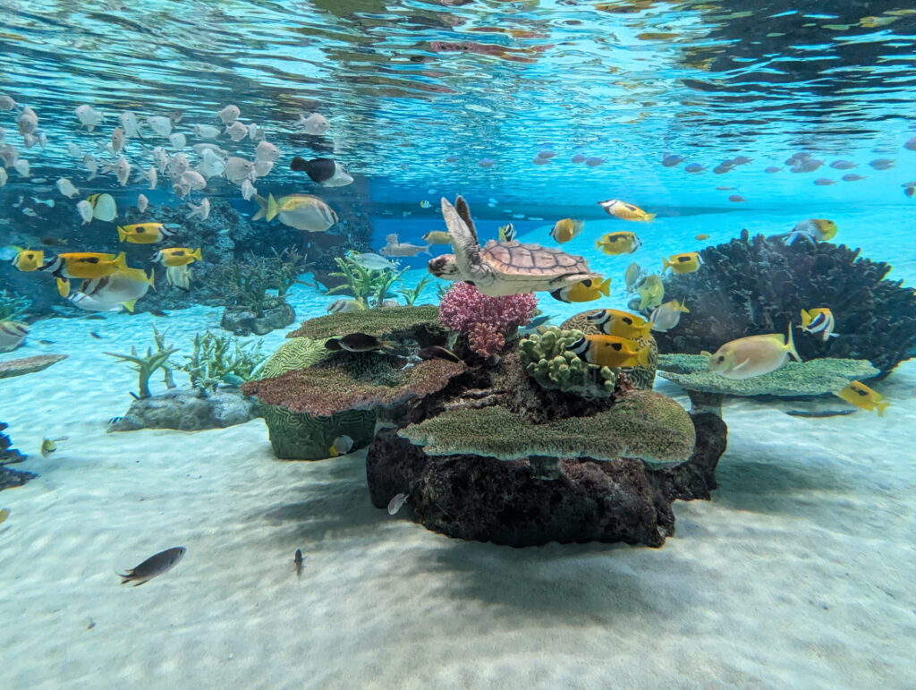 神戸須磨シーワールド