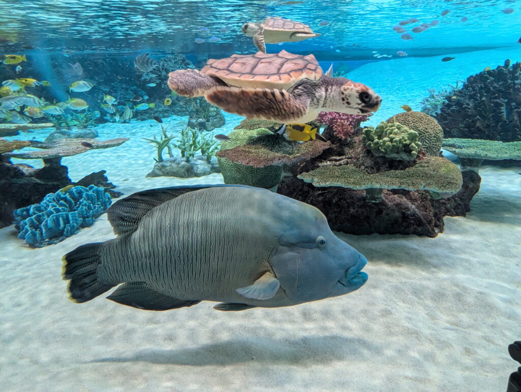 神戸須磨シーワールド