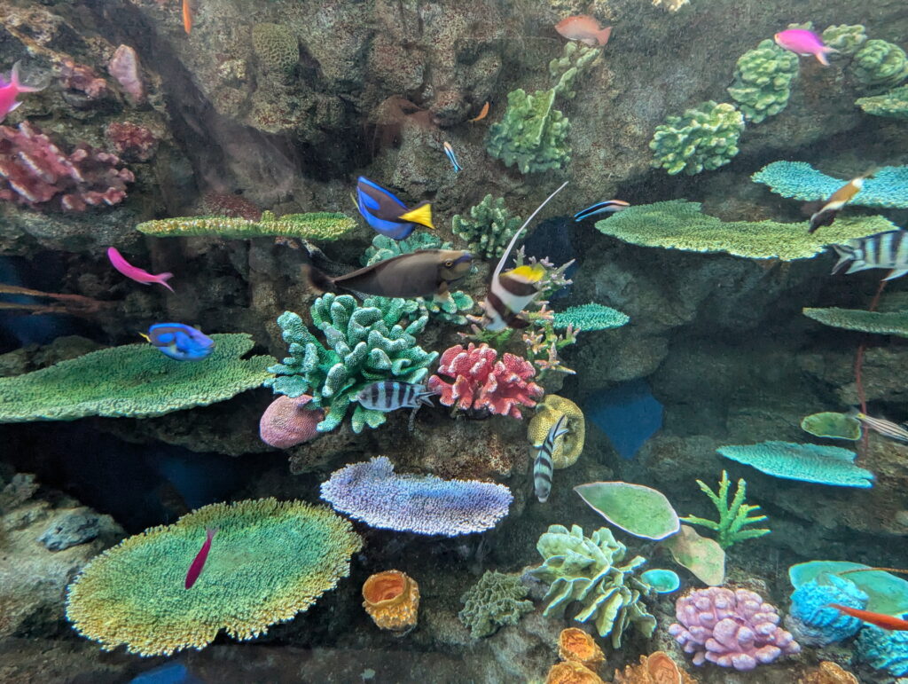 神戸須磨シーワールド