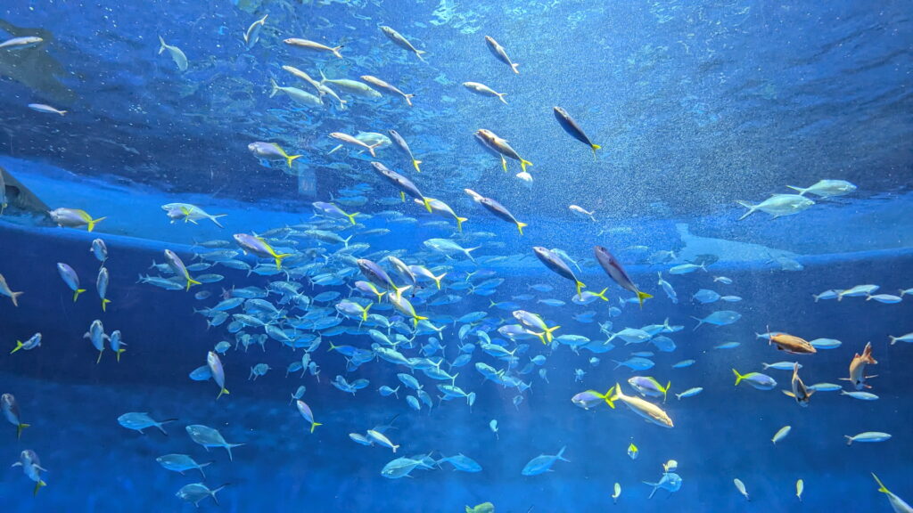 神戸須磨シーワールド