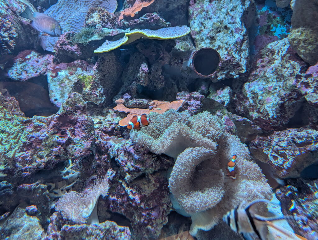 神戸須磨シーワールド