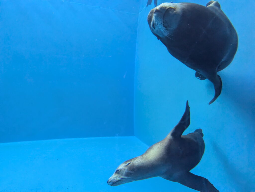 神戸須磨シーワールド