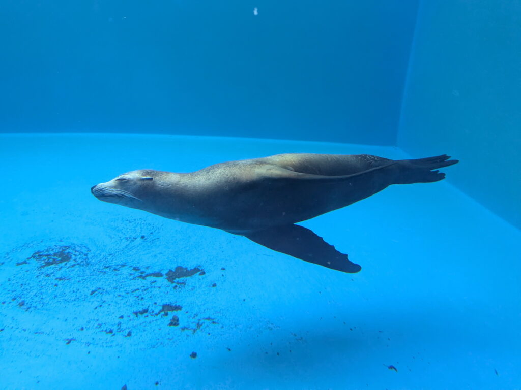 神戸須磨シーワールド