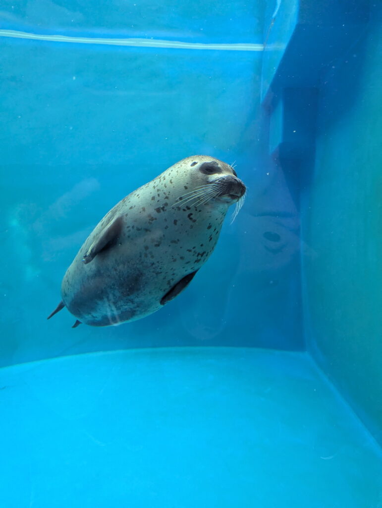 神戸須磨シーワールド