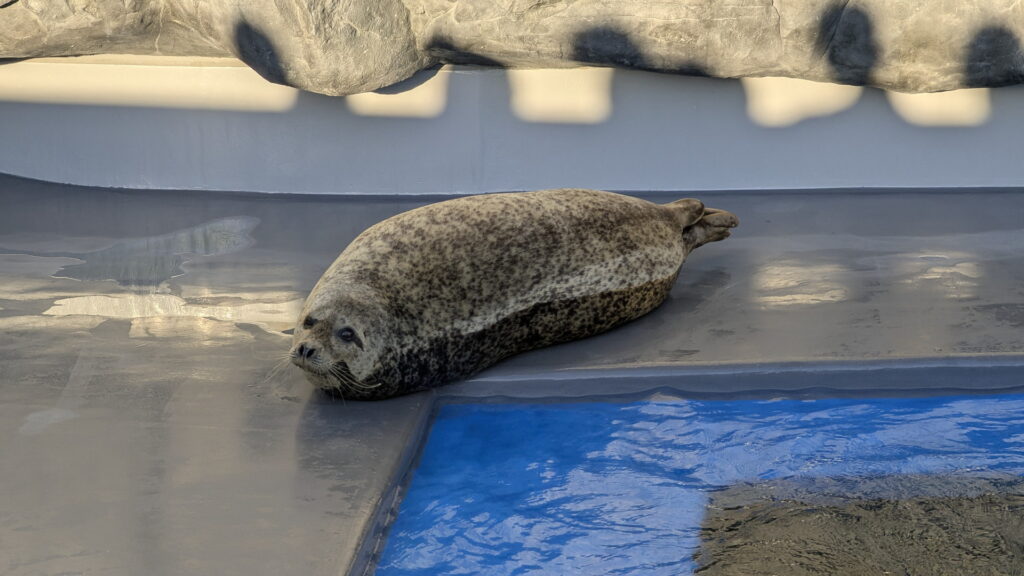 神戸須磨シーワールド