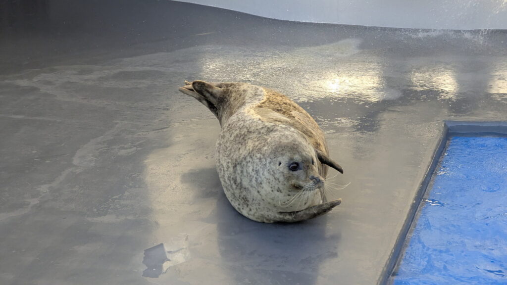 神戸須磨シーワールド