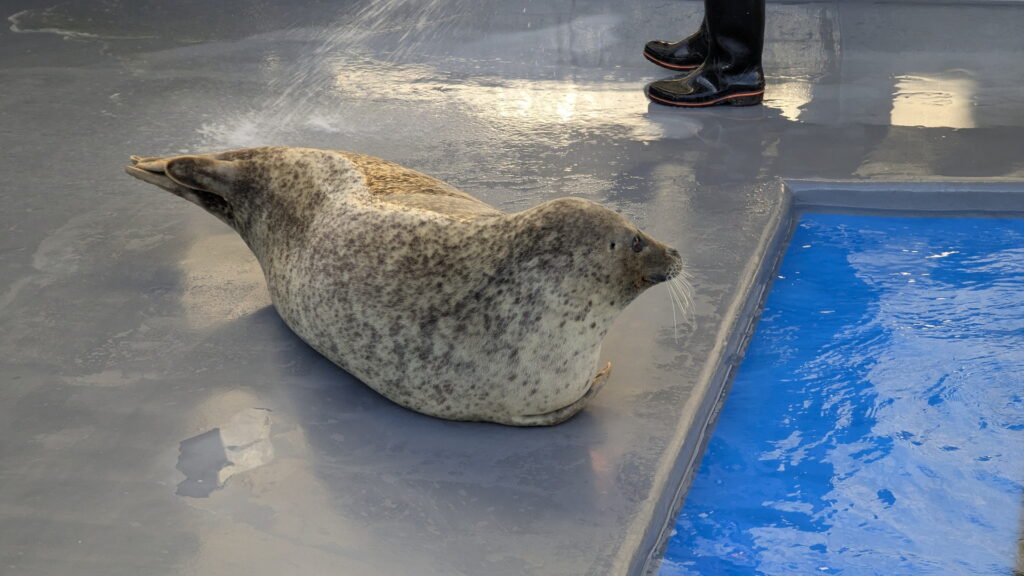 神戸須磨シーワールド