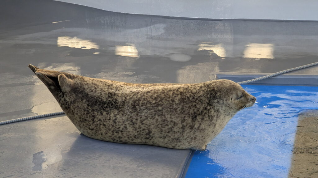 神戸須磨シーワールド