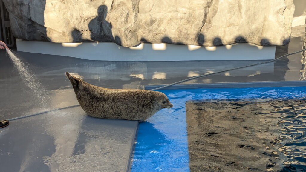 神戸須磨シーワールド