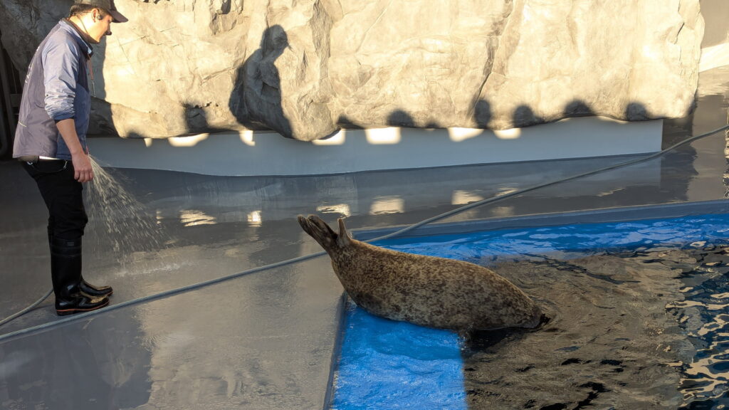 神戸須磨シーワールド