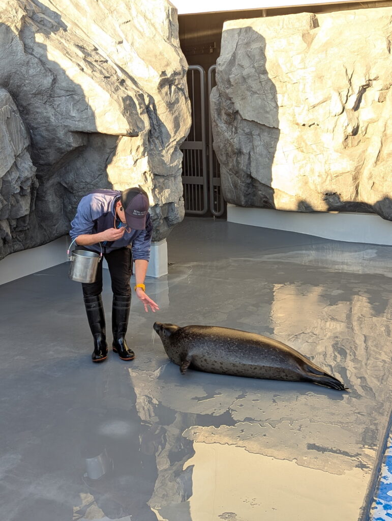 神戸須磨シーワールド