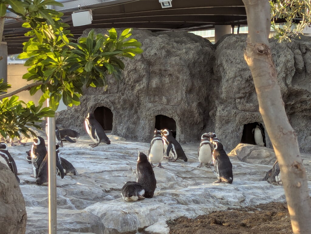 神戸須磨シーワールド