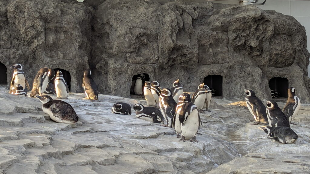 神戸須磨シーワールド